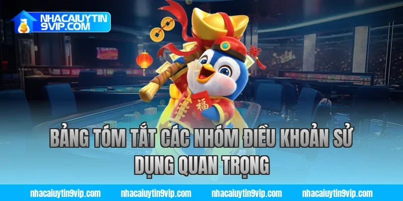 Bảng tóm tắt các nhóm điều khoản sử dụng quan trọng