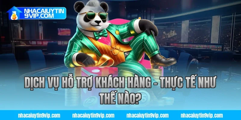 Dịch Vụ Hỗ Trợ Khách Hàng – Thực Tế Như Thế Nào?