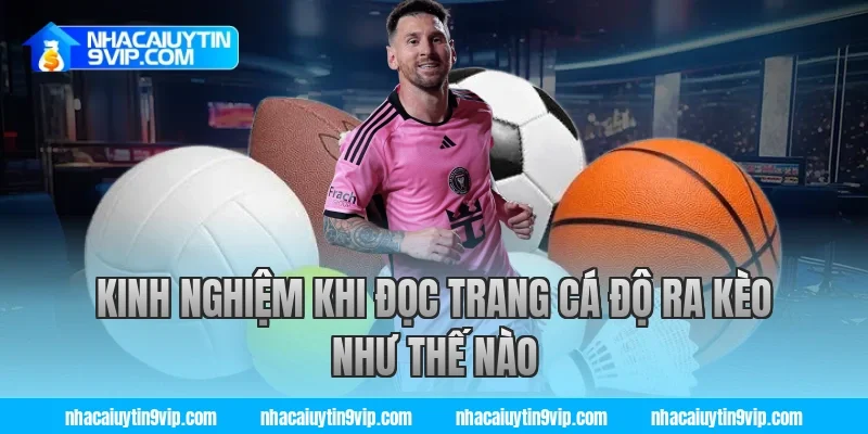 Kinh nghiệm khi đọc trang cá độ ra kèo như thế nào