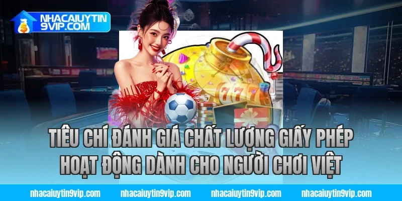 Tiêu Chí Đánh Giá Chất Lượng Giấy Phép Hoạt Động Dành Cho Người Chơi Việt